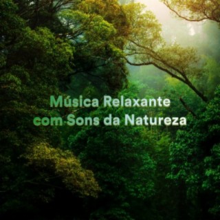 Música Relaxante Com Sons da Natureza