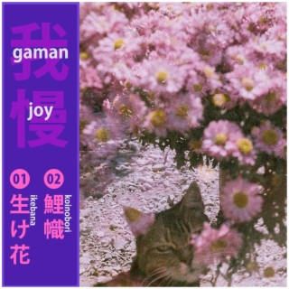 Gaman Joy