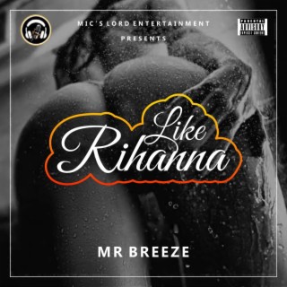 mr.breeze artist