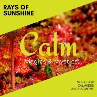 Rays of Sunshine - Music for Calmness and Harmony