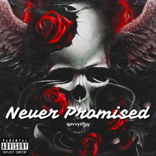 NEVER PROMISED