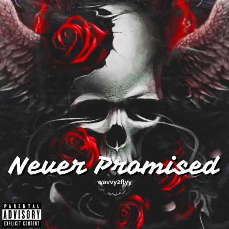 NEVER PROMISED | Boomplay Music