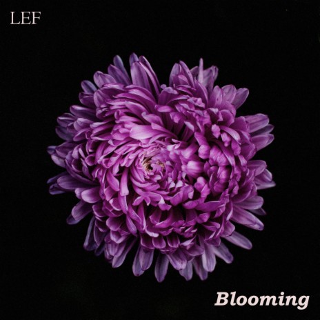 Blooming | Boomplay Music