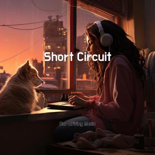 Short Circuit