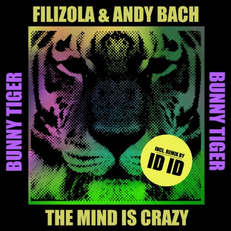 The Mind Is Crazy (ID ID Remix) ft. Andy Bach | Boomplay Music
