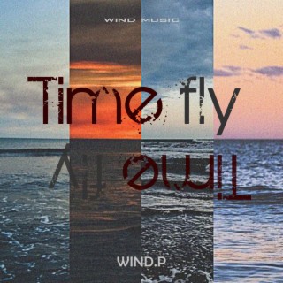 Time Fly lyrics | Boomplay Music