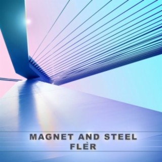 Magnet and Steel