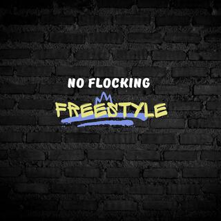 No Flocking / FreeStyle