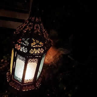 Lantern Lights