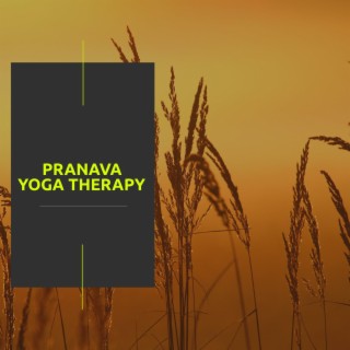 Pranava Yoga Therapy