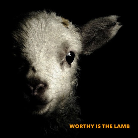 Worthy Is the Lamb (Flow) [Live] ft. Transformation Center Music | Boomplay Music