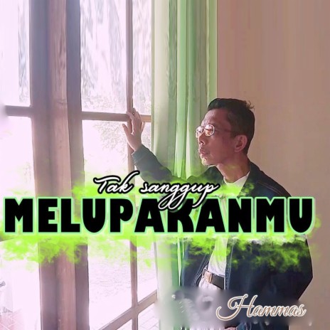 Tak Sanggup Melupakanmu | Boomplay Music