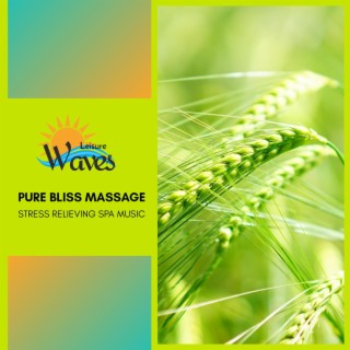 Pure Bliss Massage - Stress Relieving Spa Music