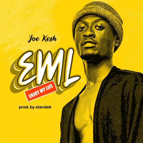 Enjoy My Life (E.M.L) | Boomplay Music