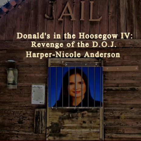 Donald's in the Hoosegow IV: The Revenge of the D.O.J. | Boomplay Music