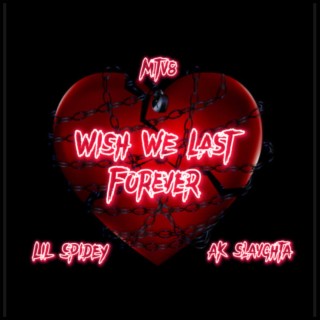 Wish We Last Forever