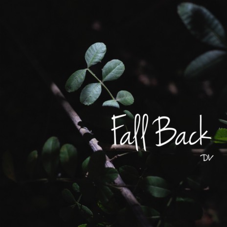 Fall Back | Boomplay Music