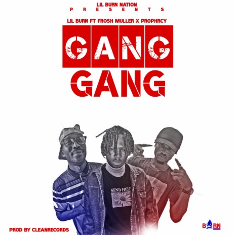 Gang Gang ft. Frosh muller & Prophecy VGL | Boomplay Music