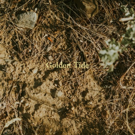 Golden Tide | Boomplay Music