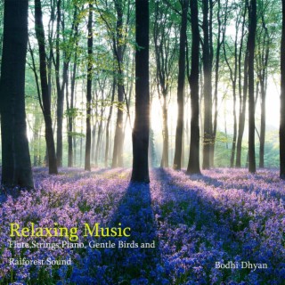 Relaxing Music Flute,Strings,Piano, Gentle Birds and Rainforest Sound