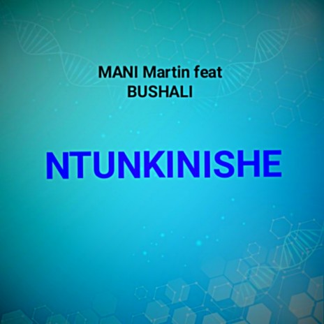 NTUNKINISHE ft. BUSHALI | Boomplay Music