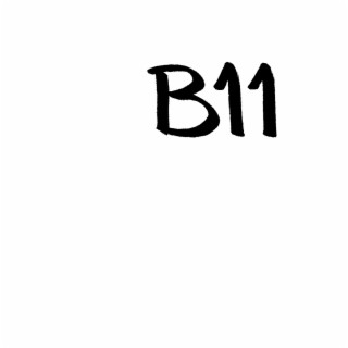 B11