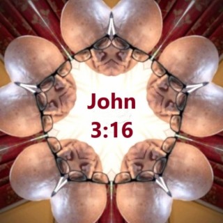 John 3:16