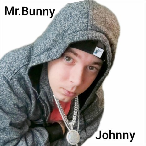 Mr.bunny | Boomplay Music