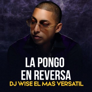 La Pongo En Reversa