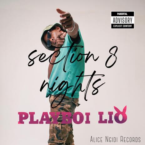 Section 8 Nights | Boomplay Music