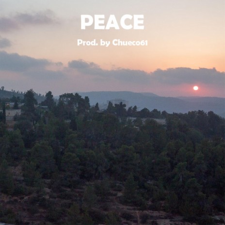 Peace ft. SHAYA | Boomplay Music