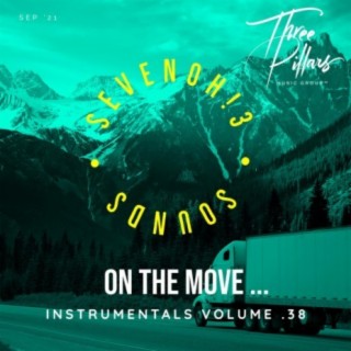 On The Move ... Instrumentals, Vol. 38 (Instrumental)