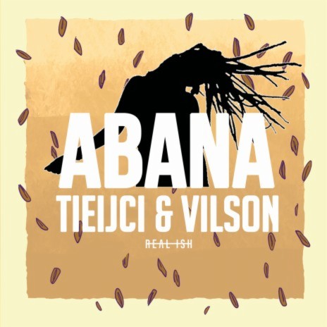 Abana ft. Vilson | Boomplay Music