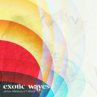 Exotic Waves