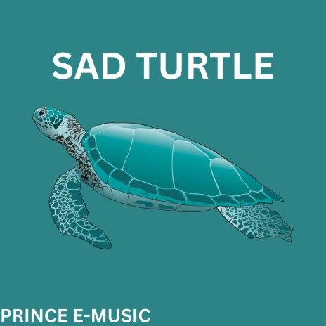 Sad Turtle | Boomplay Music