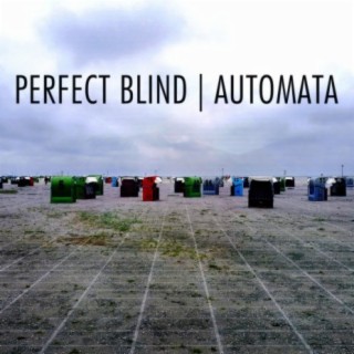 Perfect Blind