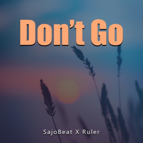 Don't go (feat. Ruler Tz)