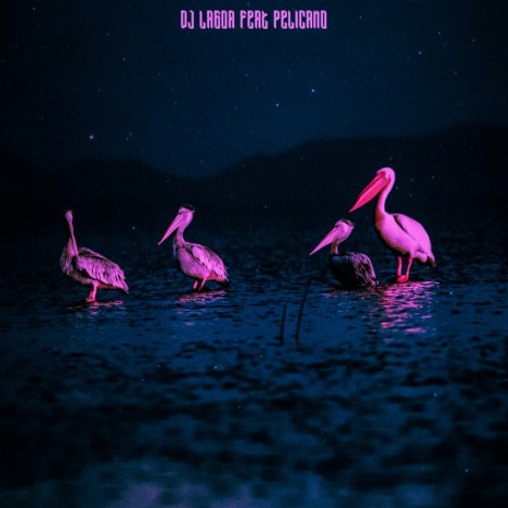 Birds in the Pond ft. Pelicano | Boomplay Music