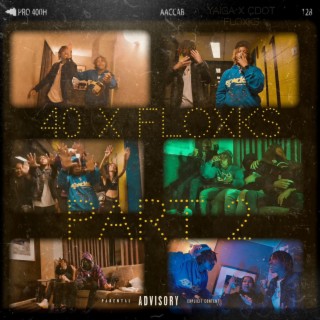 40 x Floxks pt2
