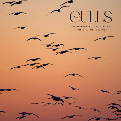 Gulls ft. Davor Bozic & The Brothers Koren | Boomplay Music