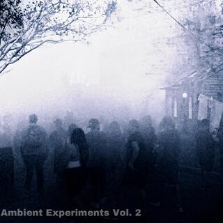 Ambient Experiments, Vol. 2