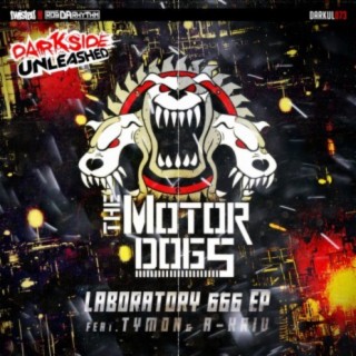 The Motordogs