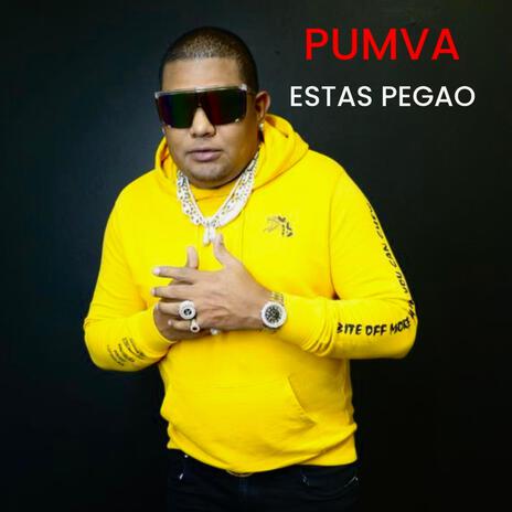 ESTAS PEGAO | Boomplay Music