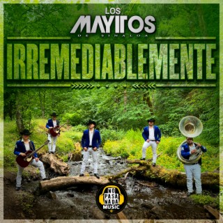 Irremediablemente