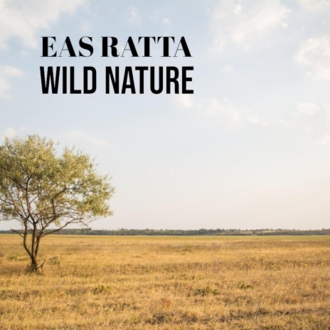 Wild Nature | Boomplay Music