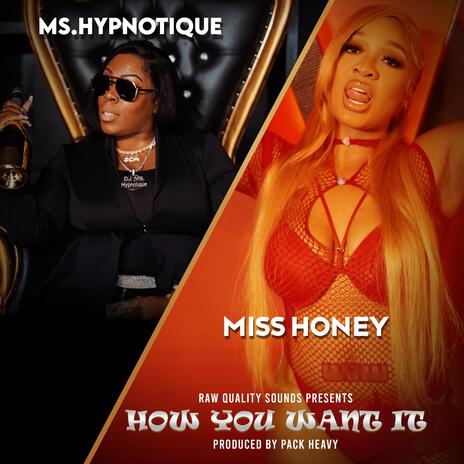 How You Want It (Radio Edit) ft. DJ Ms. Hypnotique | Boomplay Music