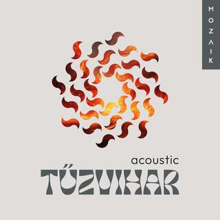 Tűzvihar (Acoustic Version) lyrics | Boomplay Music