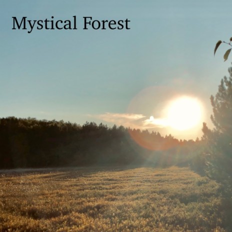 Mystical Forest