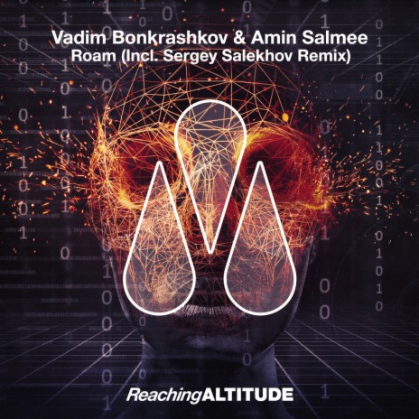 Roam (Sergey Salekhov Remix) ft. Amin Salmee