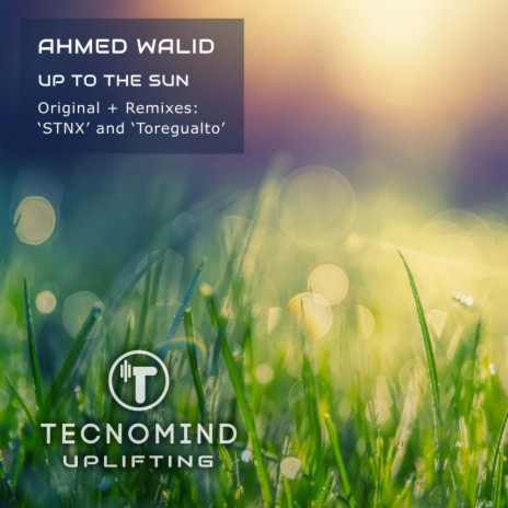Up to The Sun (Toregualto Radio Edit)